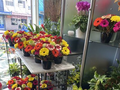 iconic-florist-in-harbourside-suburb-double-bay-nsw-2
