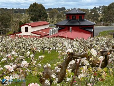 iconic-regional-bakery-cafe-bunyip-vic-3