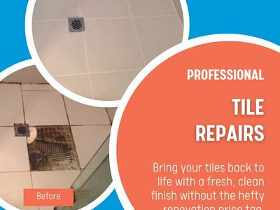 tile-and-grout-repair-business-randwick-nsw-2