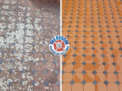 proven-tile-rescue-franchise-randwick-nsw-2