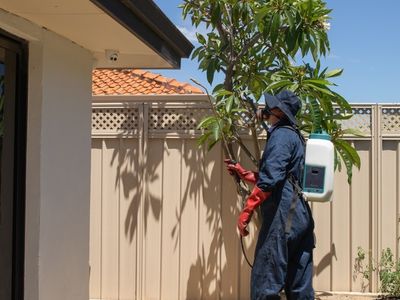 sure-pest-control-franchises-perth-wa-9