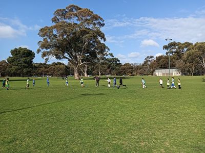 kid-39-s-soccer-learning-and-development-classes-campbelltown-sa-3