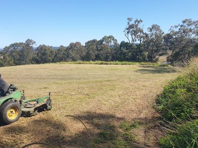 consistent-acreage-mowing-business-sunshine-coast-qld-1