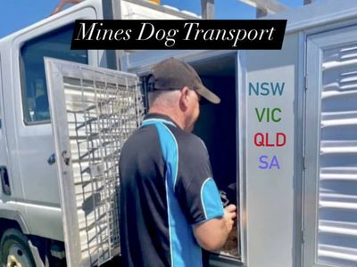 dog-transportation-services-australia-wide-national-opportunity-7