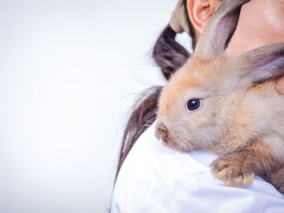 veterinary-practice-tamworth-nsw-1