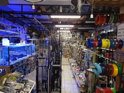 award-winning-tackle-store-prime-location-sandgate-qld-4