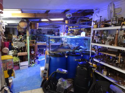 award-winning-tackle-store-prime-location-sandgate-qld-8