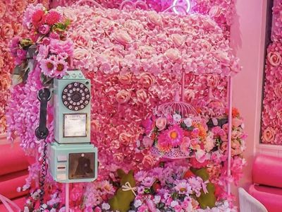 feekah-caf-233-melbournes-iconic-destination-caf-233-brand-2