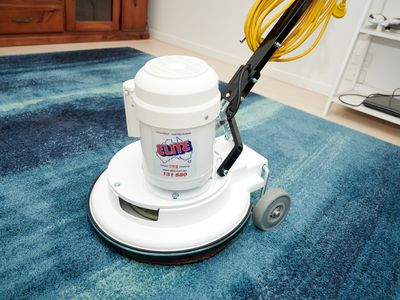 carpet-cleaning-and-pest-control-business-central-coast-nsw-2