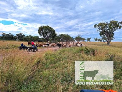 investment-opportunity-in-ethical-farmed-supply-chain-and-farming-property-3