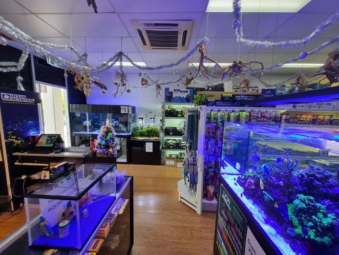 boutique-aquarium-shop-retail-plus-online-springfield-lakes-qld-6
