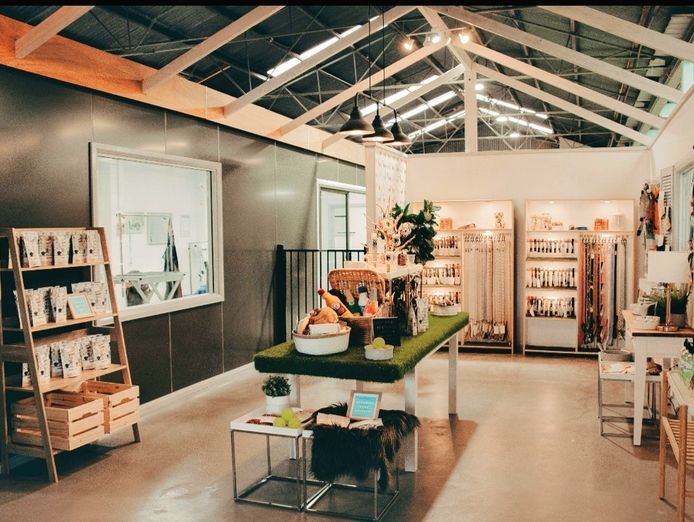 dog-grooming-daycare-and-boutique-shop-queanbeyan-nsw-0
