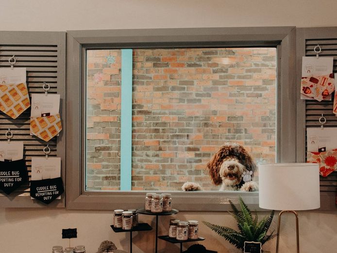 dog-grooming-daycare-and-boutique-shop-queanbeyan-nsw-1