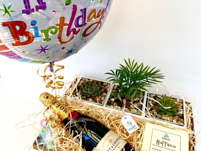 succulent-surprise-established-online-plant-store-and-gifting-brand-national-4