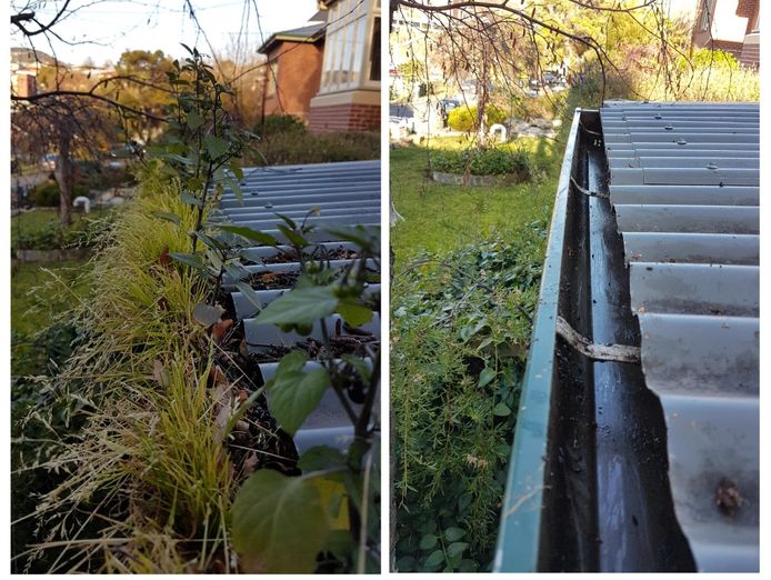 own-the-leading-gutter-cleaning-business-in-northern-tasmania-2