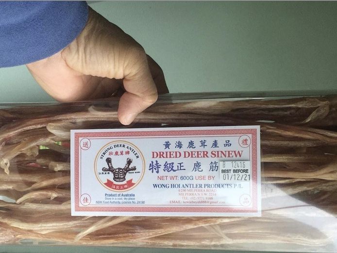 wholesale-dried-deer-velvet-tails-pizzles-sinews-crocodile-meats-manufacture-7
