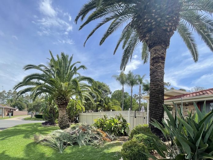 award-winning-gardening-landscaping-business-sydney-nsw-4
