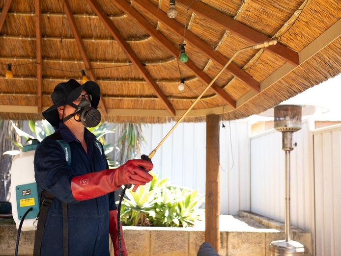 sure-pest-control-franchises-brisbane-qld-8
