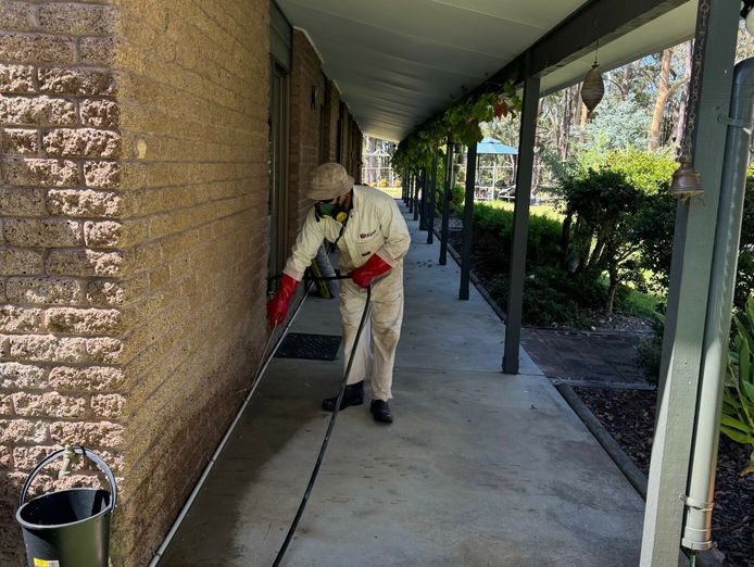 pest-control-termite-inspections-management-central-coast-nsw-1