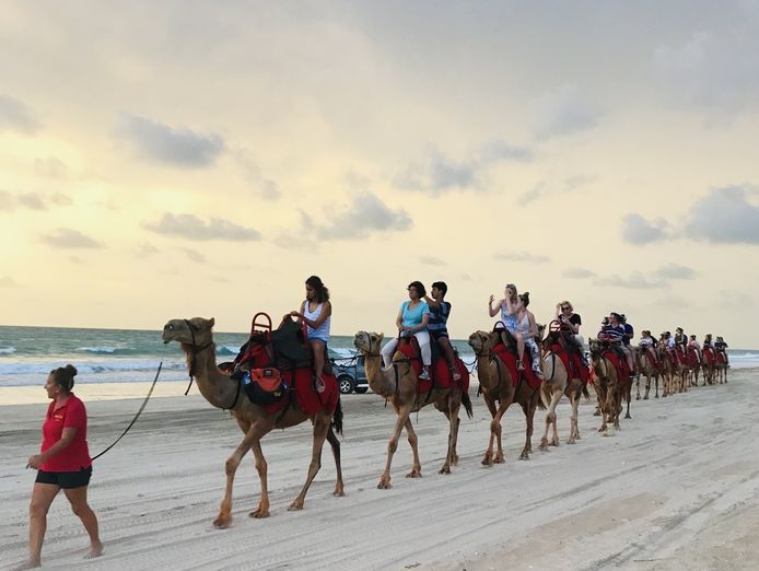 retail-opportunity-in-broome-iconic-gift-and-homewares-store-3