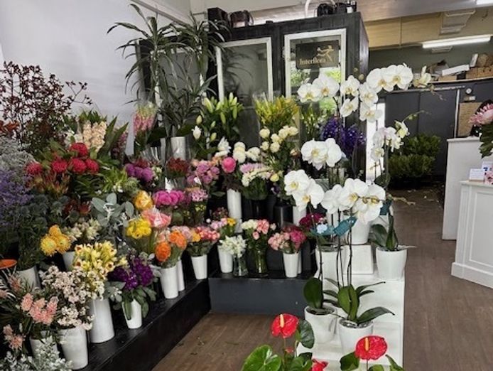 under-offer-prominent-florist-and-gift-shop-caringbah-nsw-2