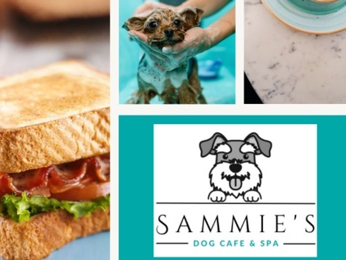 unique-dog-cafe-and-spa-opportunity-moonee-beach-nsw-3