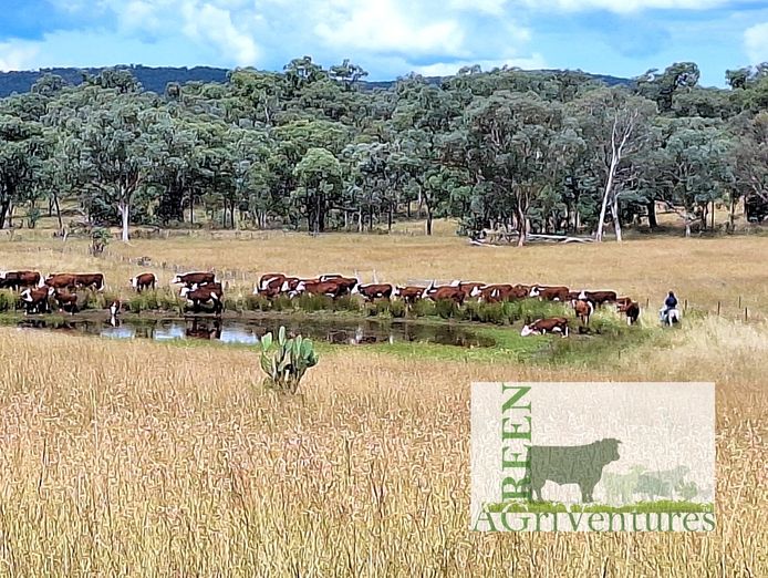 investment-opportunity-in-ethical-farmed-supply-chain-and-farming-property-2