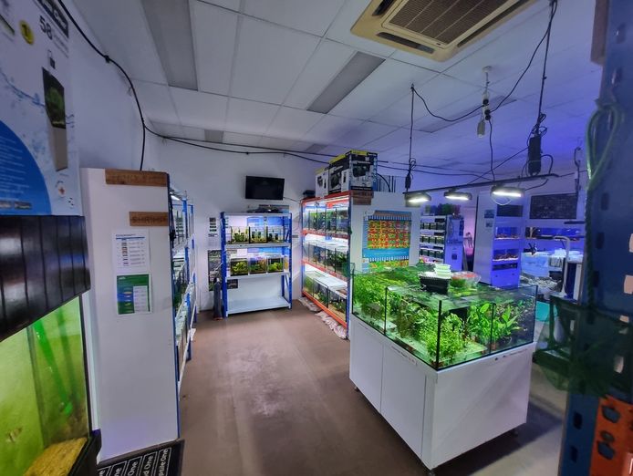 under-offer-boutique-aquarium-shop-plus-online-springfield-lakes-qld-7