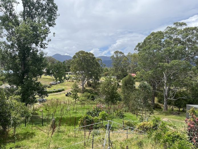 bakery-and-pie-shop-plus-accommodation-bemboka-nsw-8