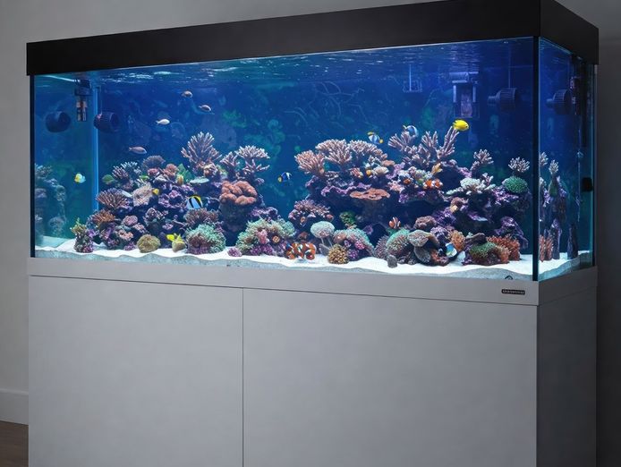established-aquarium-maintenance-business-sydney-nsw-0