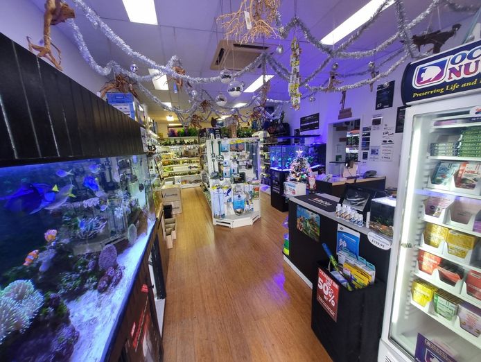 boutique-aquarium-shop-retail-plus-online-springfield-lakes-qld-4