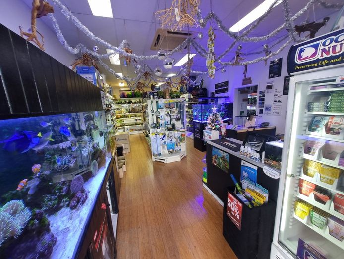 under-offer-boutique-aquarium-shop-plus-online-springfield-lakes-qld-4