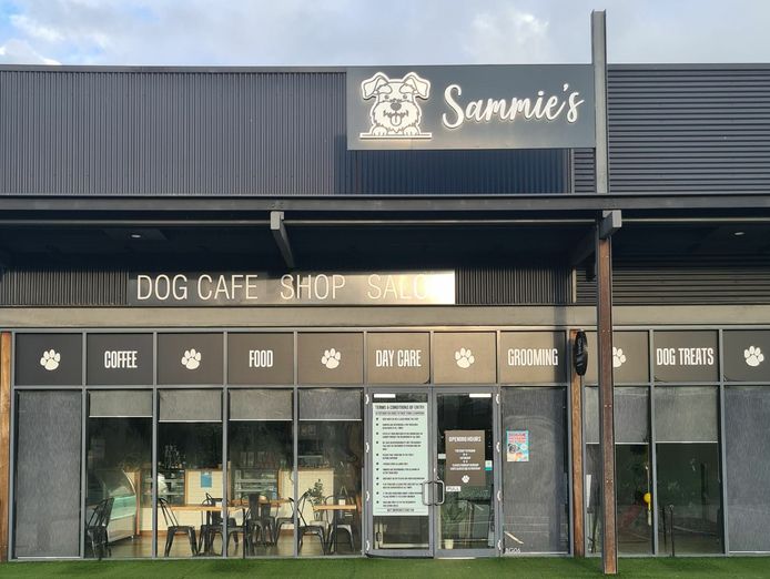 unique-dog-cafe-and-spa-opportunity-moonee-beach-nsw-1
