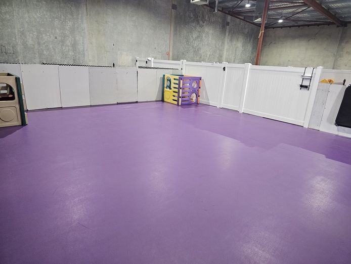 doggie-daycare-and-training-business-golden-grove-sa-2