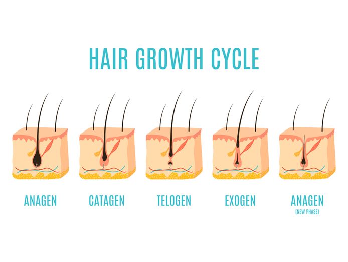 exciting-business-opportunity-in-the-hair-loss-treatment-industry-sydney-nsw-4