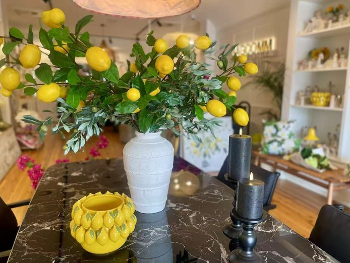 home-and-lifestyle-retail-store-mosman-nsw-7