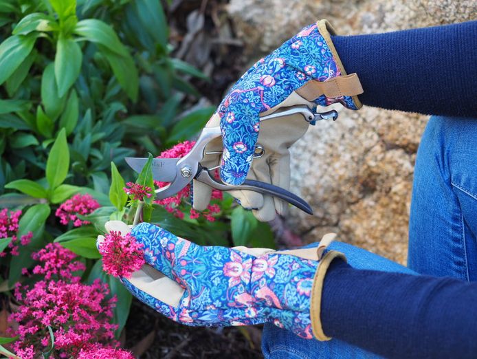 gardening-gift-box-business-national-online-opportunity-6