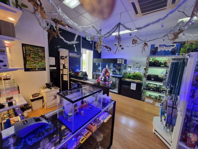 boutique-aquarium-shop-retail-plus-online-springfield-lakes-qld-3