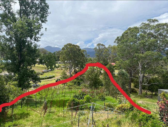 bakery-and-pie-shop-plus-accommodation-bemboka-nsw-9