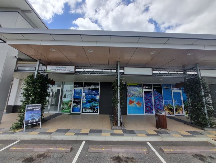 under-offer-boutique-aquarium-shop-plus-online-springfield-lakes-qld-8