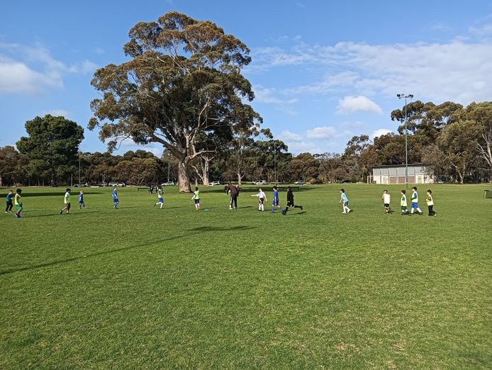 kid-39-s-soccer-learning-and-development-classes-campbelltown-sa-3