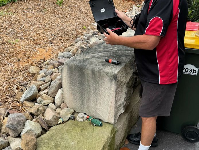 pest-control-termite-inspections-management-central-coast-nsw-5