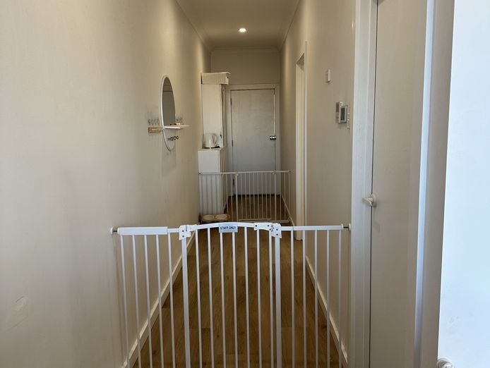 award-winning-dog-grooming-salon-and-boutique-north-brighton-sa-4