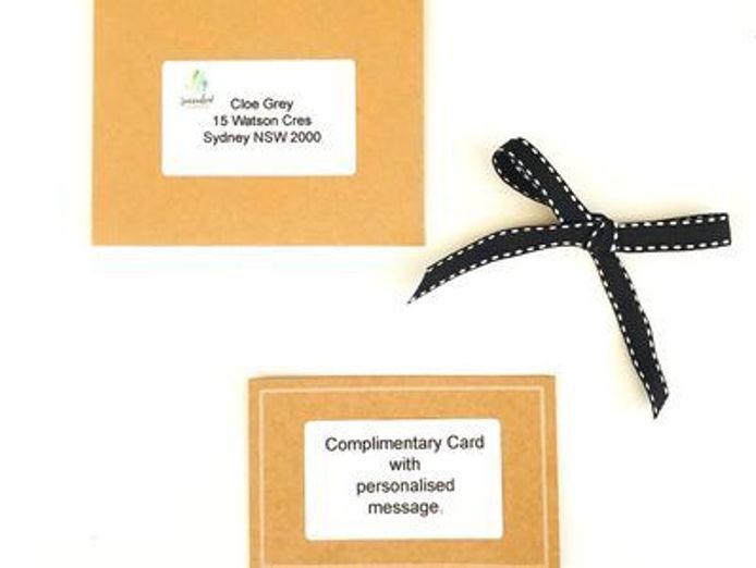 succulent-surprise-established-online-plant-store-and-gifting-brand-national-6