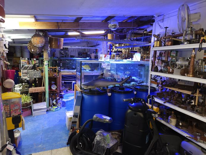 award-winning-tackle-store-prime-location-sandgate-qld-8