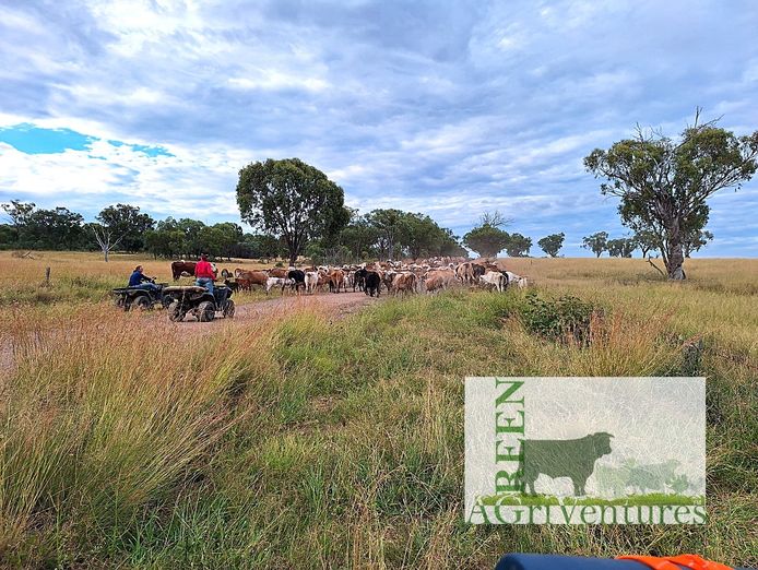 investment-opportunity-in-ethical-farmed-supply-chain-and-farming-property-3
