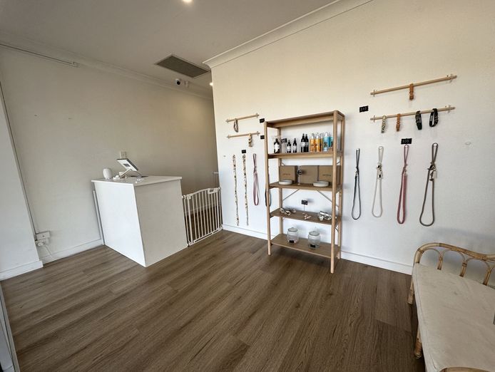 award-winning-dog-grooming-salon-and-boutique-north-brighton-sa-3