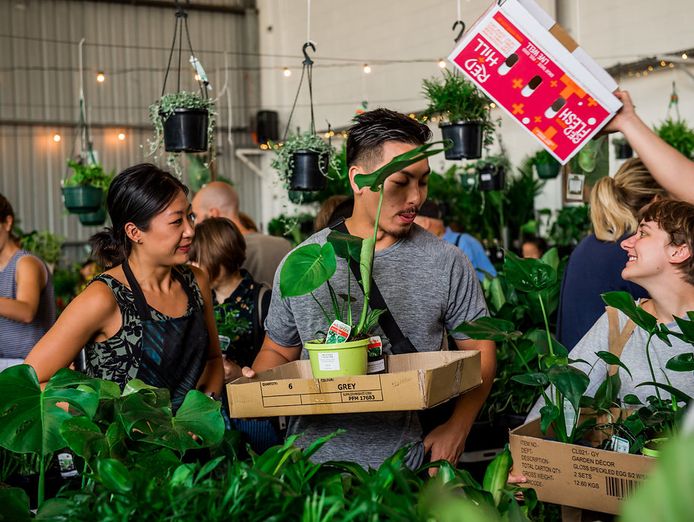 australias-biggest-online-plant-accessories-business-with-systems-in-place-0