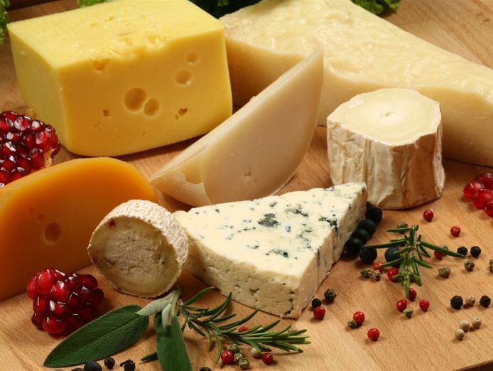 cheese-manufacturing-distribution-amp-retail-business-0