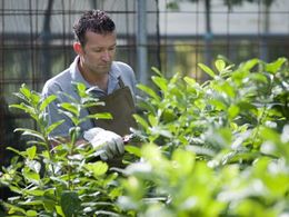 Freehold Production Nursery & Residence - SEQ - Quality operation